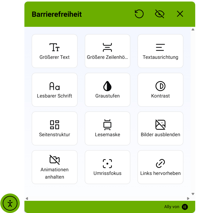 Visualisierung der Website-Anpassung Panel für Menschen mit Einschränkungen.